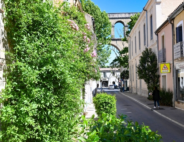 Plantes grimpantes courant sur le mur de la rue Marioge