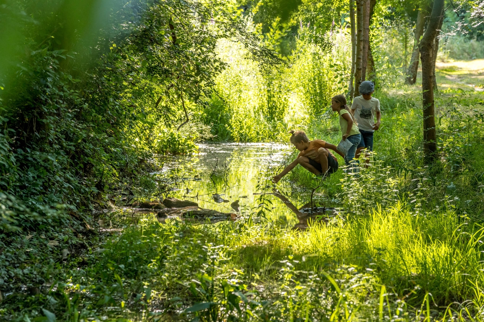 enfants au bord du ruisseau