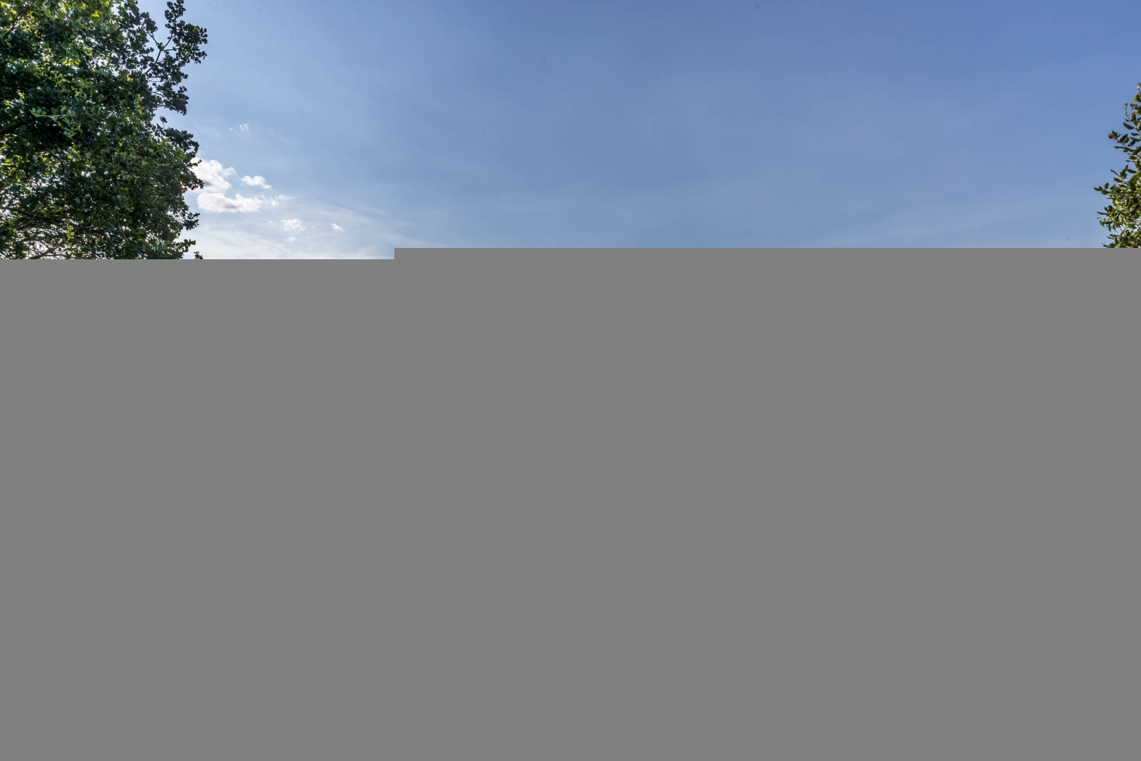 paysage de vigne