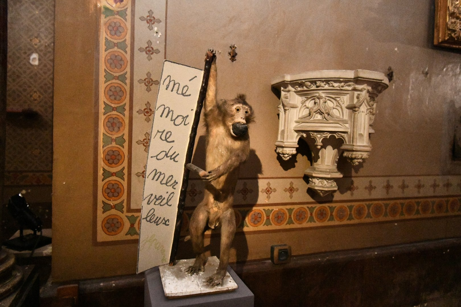 Singe naturalisé tenant une pancarte "Mémoire du merveilleux"