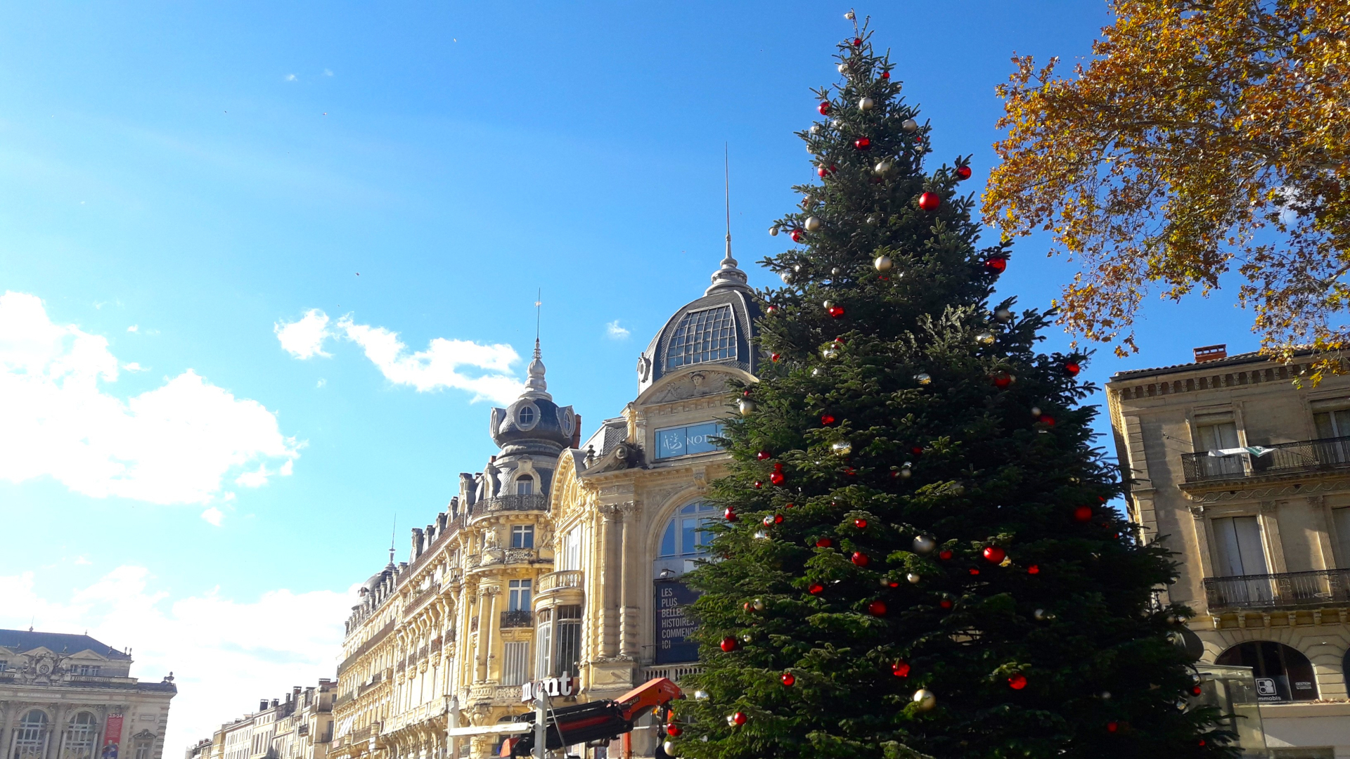 Le sapin sur la Comédie