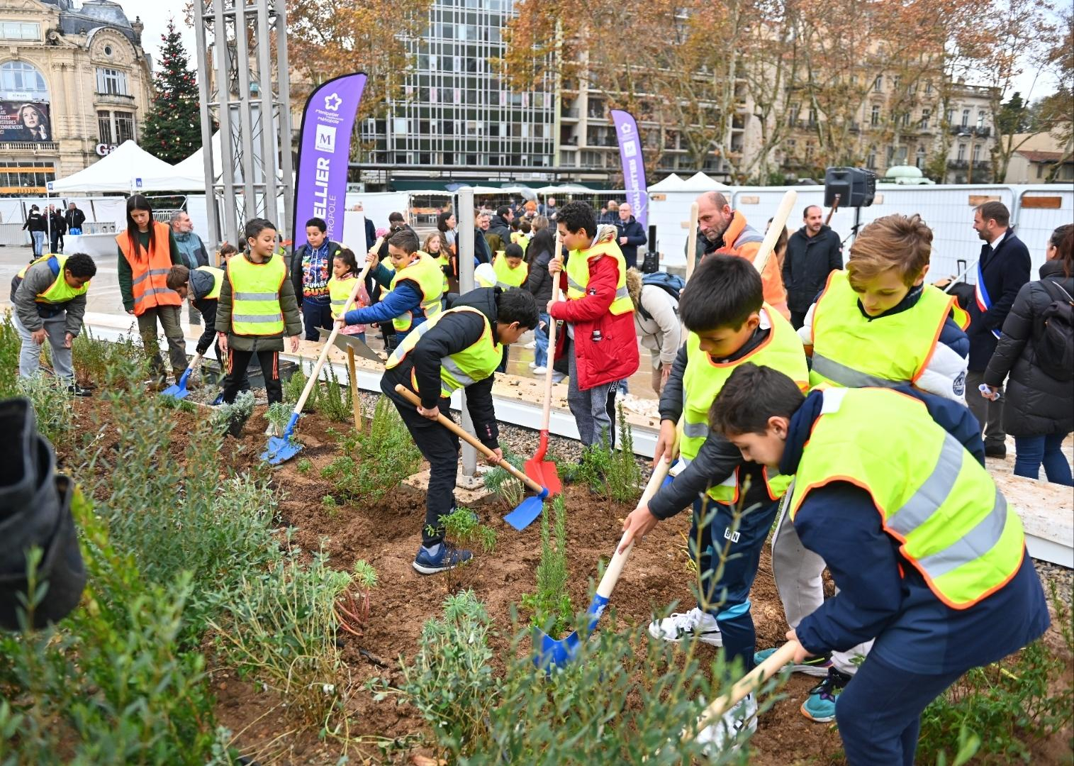 Les écoliers participent à la végétalisation 