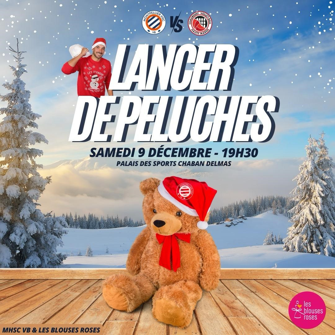 affiche lancer de peluches