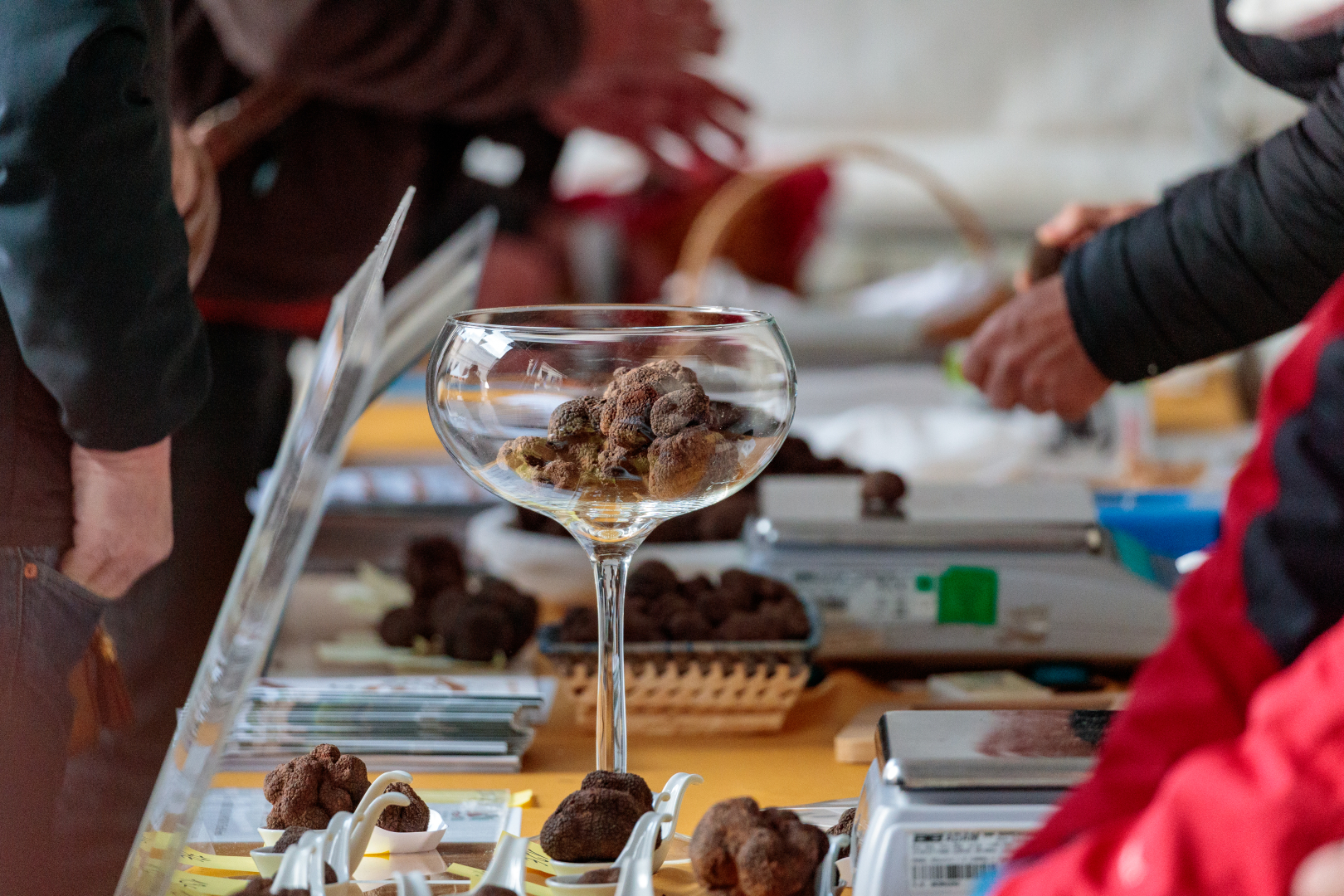 Saint-Géniès-des-Mourgues fête le "diamant noir"