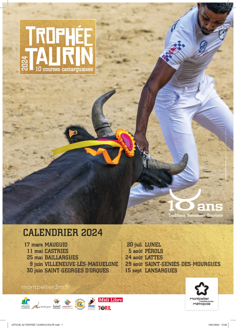 Affiche