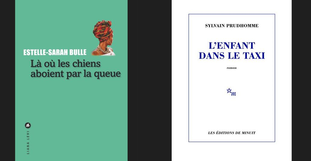 Couvertures des livres de Estelle-Sarah Bulle et Sylvain Tesson