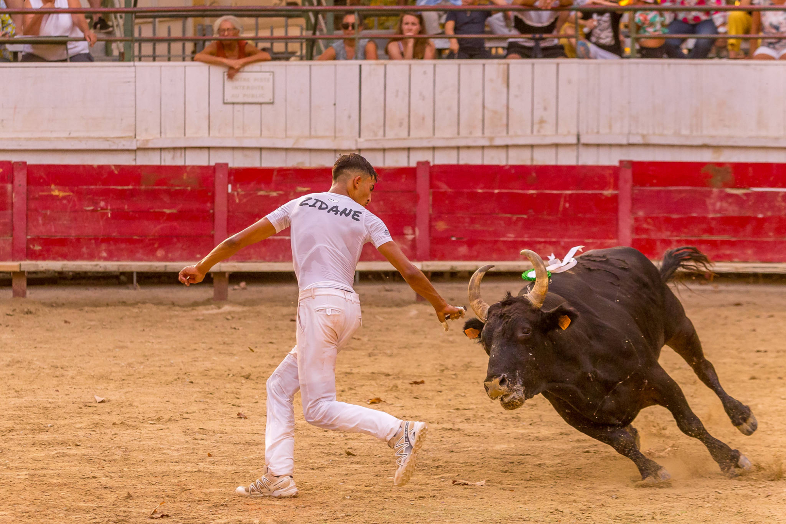 raseteur dans l'arène 