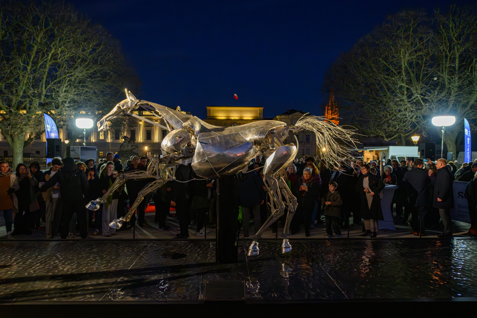 Le cheval Zeus de nuit