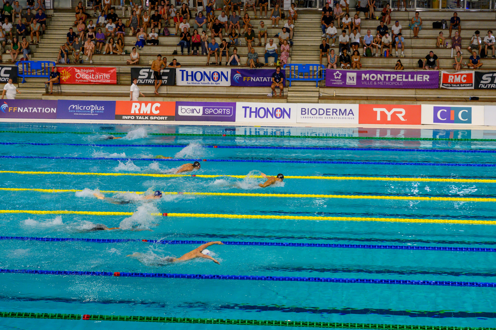 piscine nageurs public 