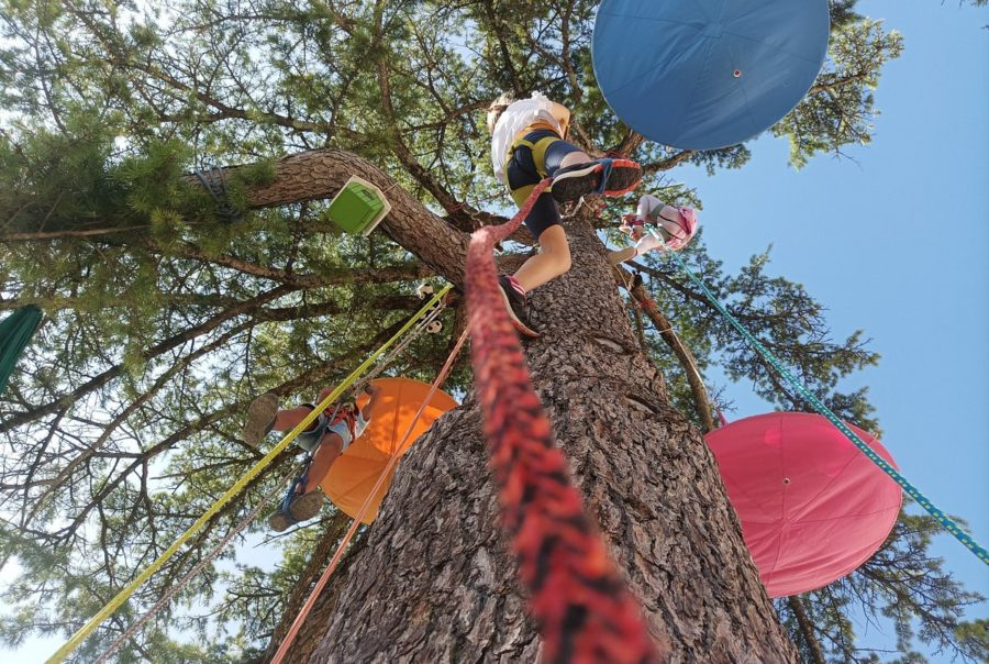 arbres personne en suspension décoration cordes 