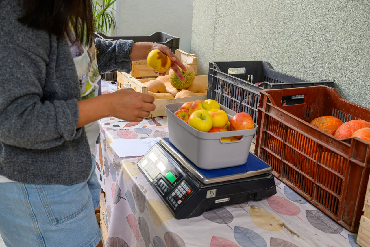 Vrac et Cocinas 