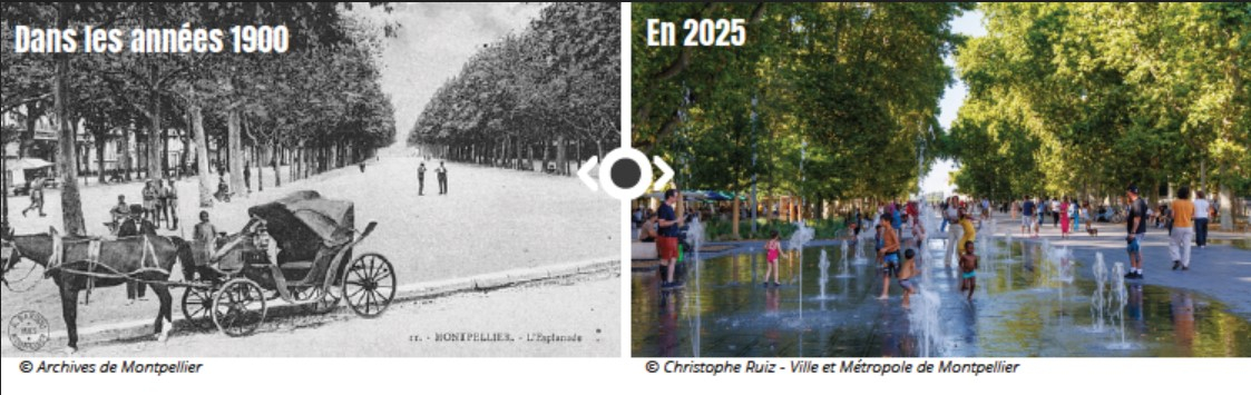 avant après