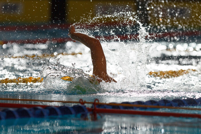 natation
