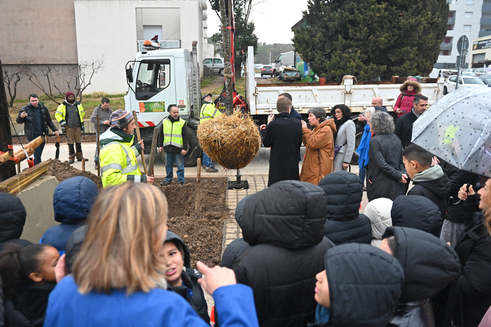écoliers agents jardiniers chêne en cours de plantation bâtiments 