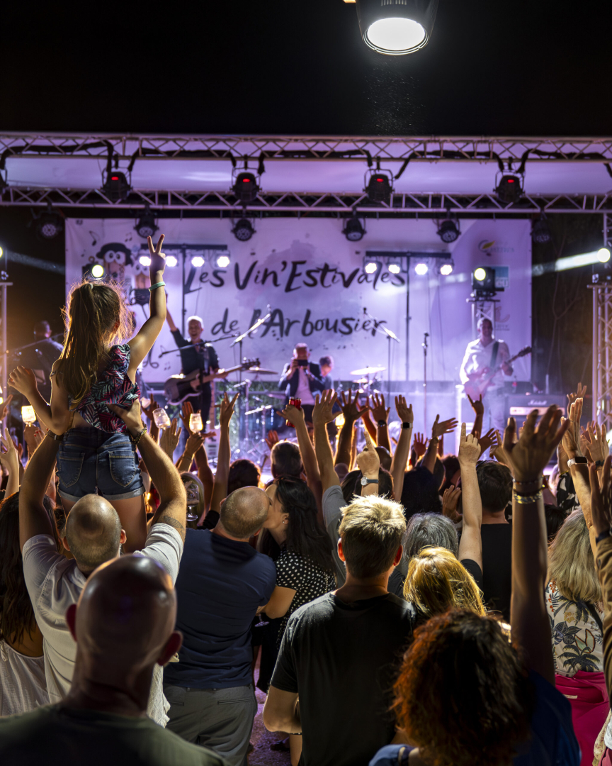 Photo de public ambiance concert