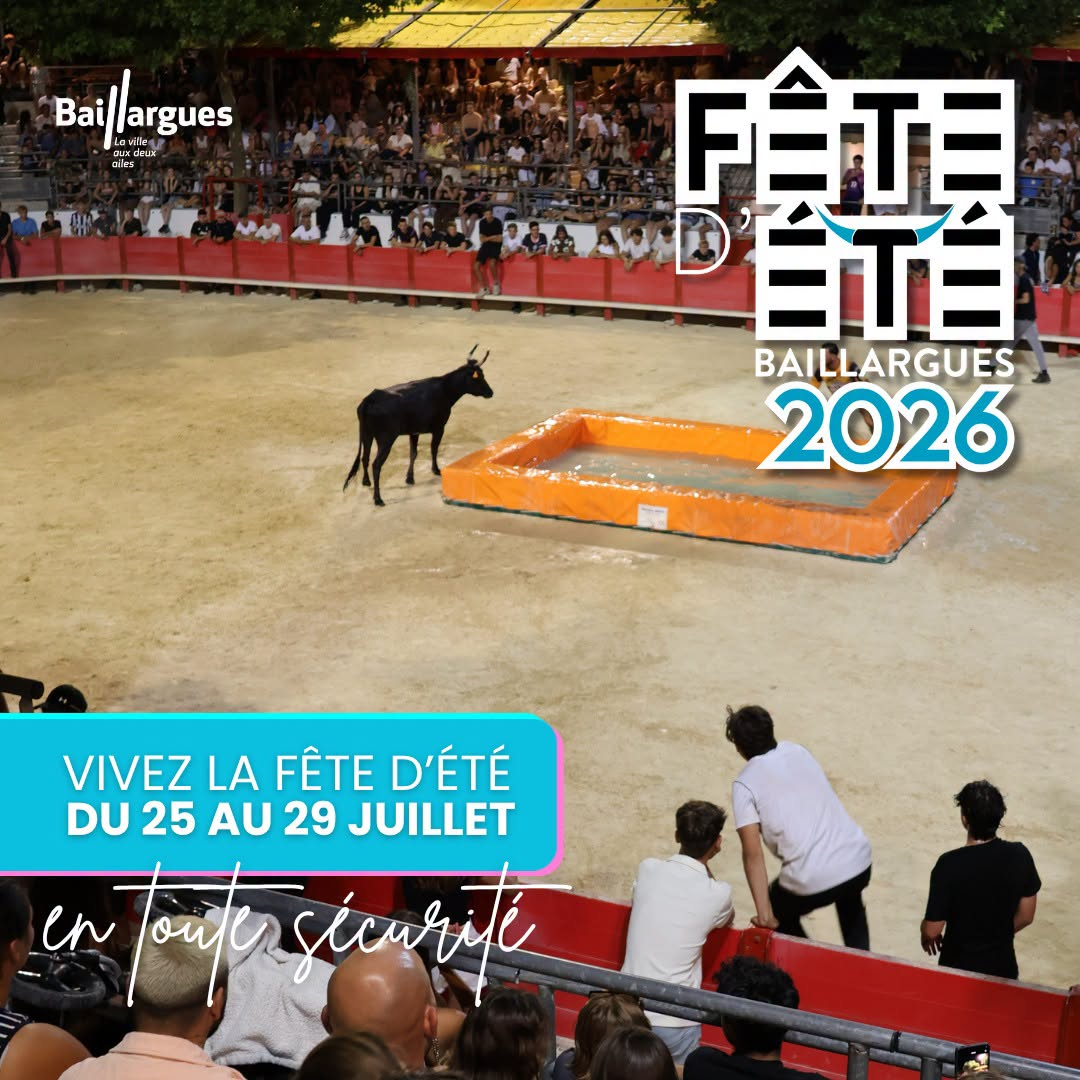 Visuel de taureau dans les arènes