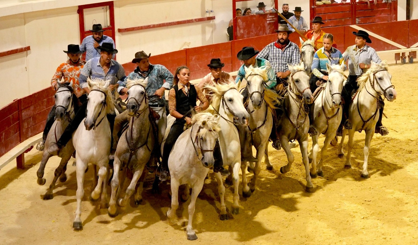 Gardians à cheval dans les arènes