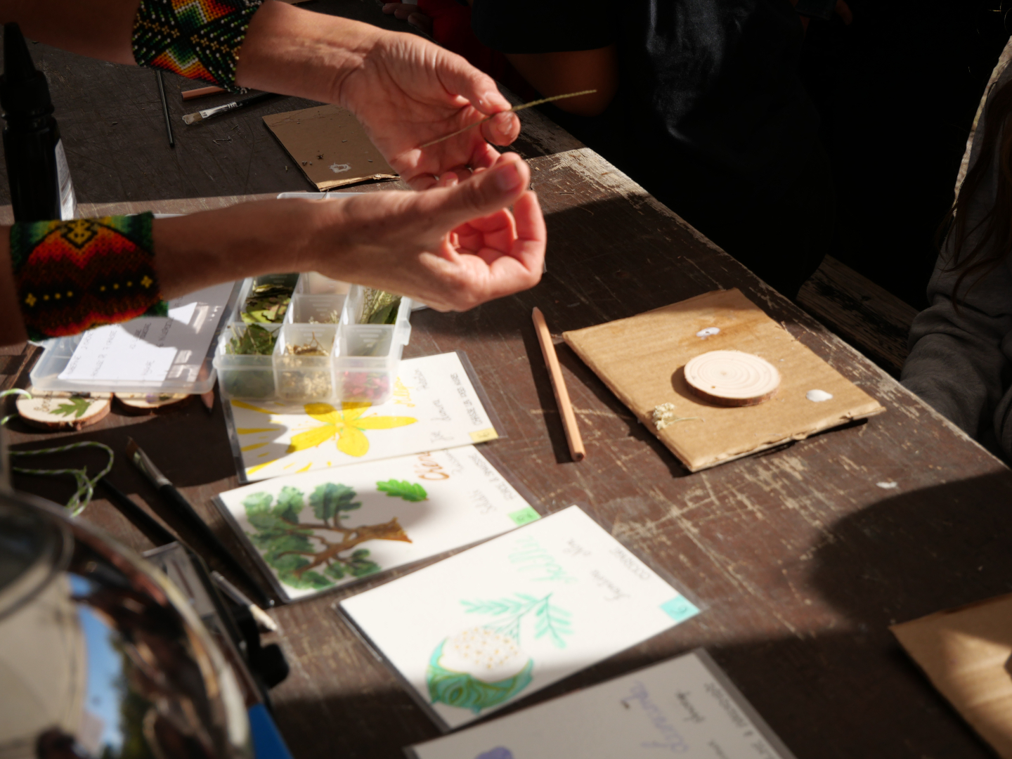 Atelier de démonstration de plantes