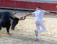 raseteur