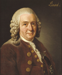 Carl von Linné 