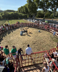 Animation taurine à Prades le Lez