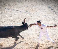 Raseteur dans l'arène près du taureau