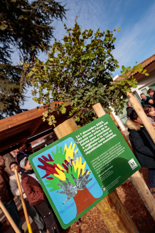 Les enfants ont réalisé une réprésentation de la laïcité, placée aux côtés de l'arbre de la laïcité 