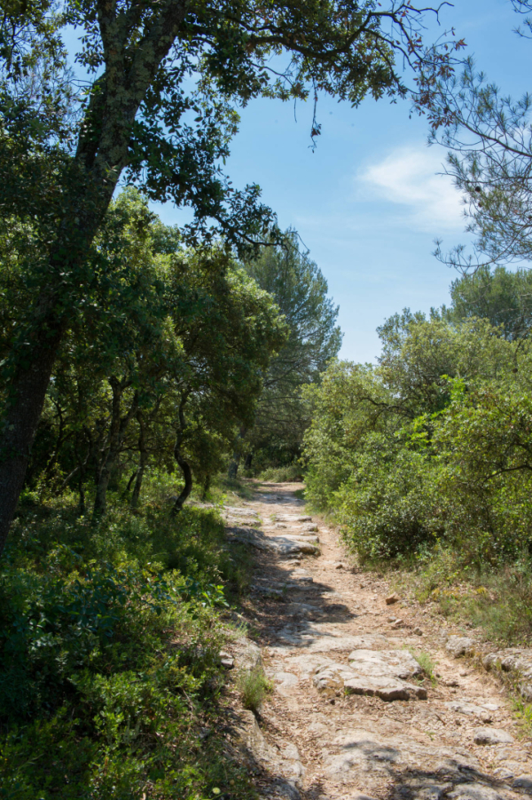 Chemin de randonnée 