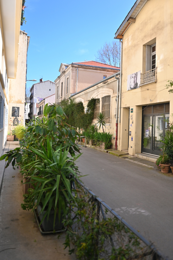 pots de fleurs, plantes, plantes grimpantes, façades, rue du Général Maureilhan 