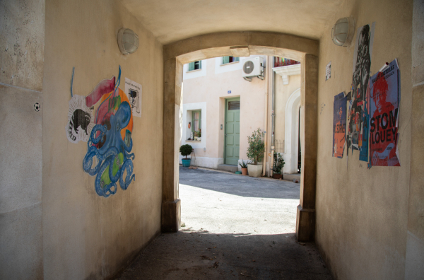 passage couvert oeuvres de street art 