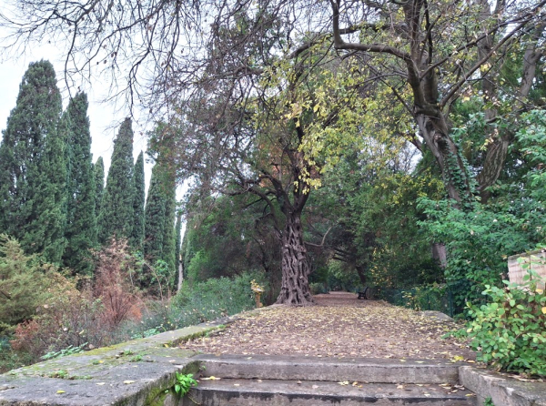 La Montagne, partie ancienne du jardin