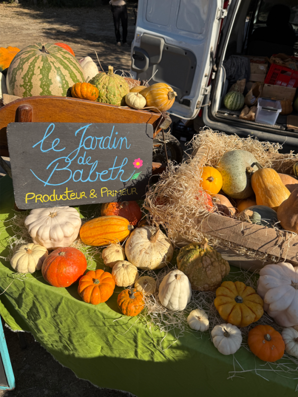 Etal de producteur avec plusieurs légumes et courges